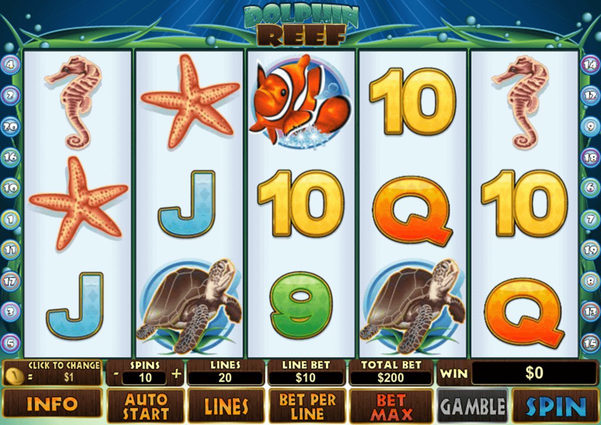 https://ufabet-online.com/play8/dolphin-reef/